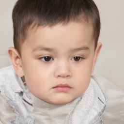 Neutral white child male with short  brown hair and brown eyes