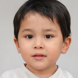 Neutral white child male with short  brown hair and brown eyes