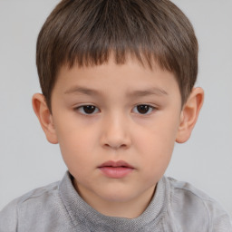 Neutral white child male with short  brown hair and brown eyes