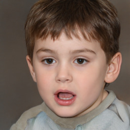 Neutral white child male with short  brown hair and brown eyes