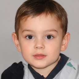 Neutral white child male with short  brown hair and brown eyes