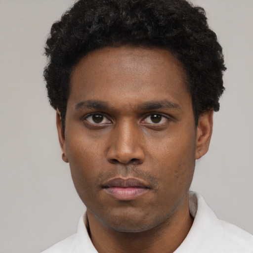 Neutral black young-adult male with short  black hair and brown eyes