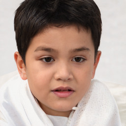 Joyful white child male with short  brown hair and brown eyes