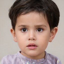 Neutral white child male with short  brown hair and brown eyes