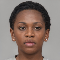 Neutral black young-adult female with short  brown hair and brown eyes