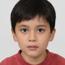 Neutral white child male with short  brown hair and brown eyes