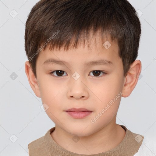 Neutral white child male with short  brown hair and brown eyes