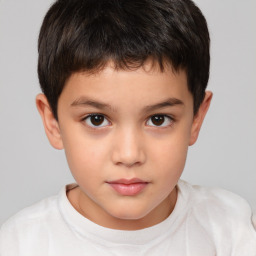 Neutral white child male with short  brown hair and brown eyes