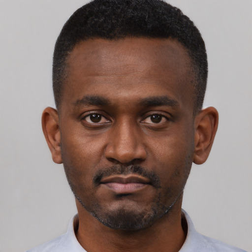 Neutral black young-adult male with short  black hair and brown eyes