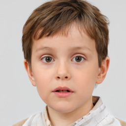 Neutral white child male with short  brown hair and brown eyes