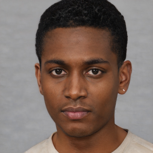 Neutral black young-adult male with short  black hair and brown eyes