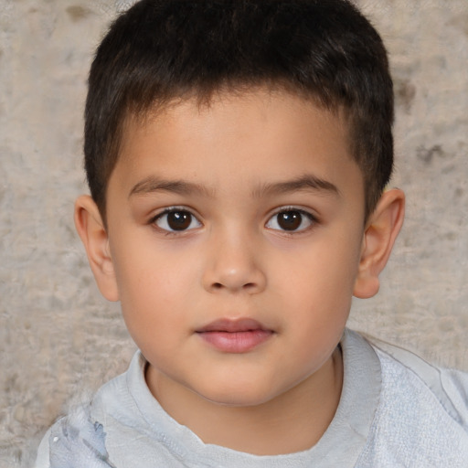 Neutral white child male with short  brown hair and brown eyes