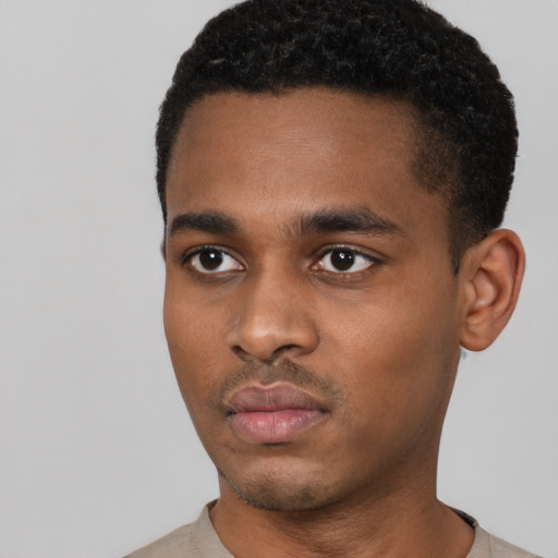 Neutral black young-adult male with short  black hair and brown eyes