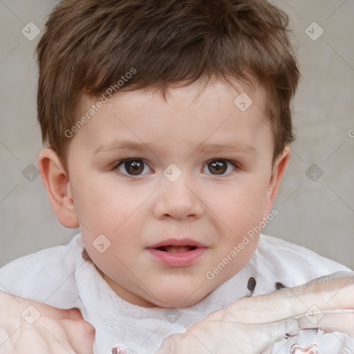 Neutral white child male with short  brown hair and brown eyes