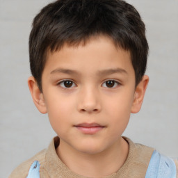 Neutral white child male with short  brown hair and brown eyes