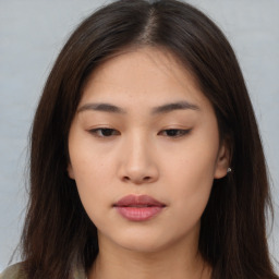 Neutral asian young-adult female with long  brown hair and brown eyes