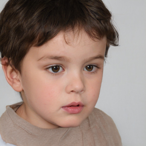 Neutral white child male with short  brown hair and brown eyes