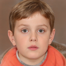 Neutral white child male with short  brown hair and brown eyes