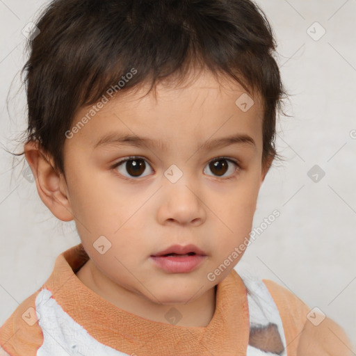 Neutral white child male with short  brown hair and brown eyes