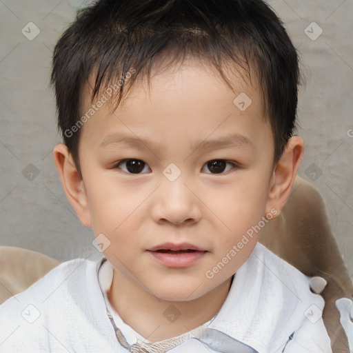 Neutral white child male with short  brown hair and brown eyes