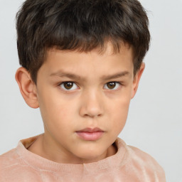 Neutral white child male with short  brown hair and brown eyes