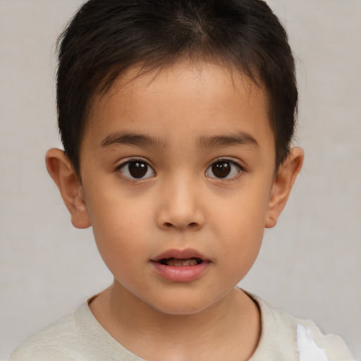 Neutral white child male with short  brown hair and brown eyes