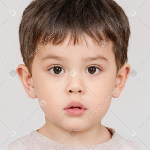 Neutral white child male with short  brown hair and brown eyes