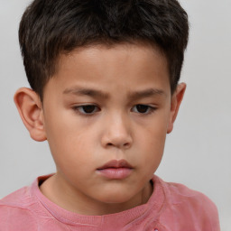 Neutral white child male with short  brown hair and brown eyes