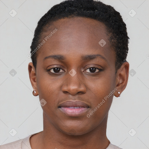 Neutral black young-adult female with short  brown hair and brown eyes