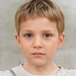 Neutral white child male with short  brown hair and brown eyes