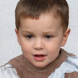 Neutral white child male with short  brown hair and brown eyes