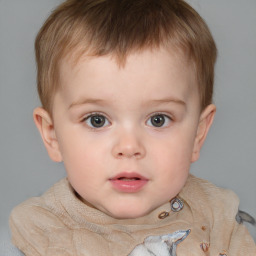 Neutral white child male with short  brown hair and brown eyes