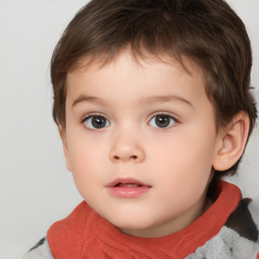 Neutral white child male with short  brown hair and brown eyes