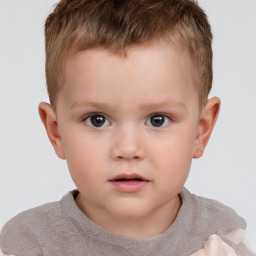 Neutral white child male with short  brown hair and brown eyes