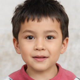 Neutral white child male with short  brown hair and brown eyes