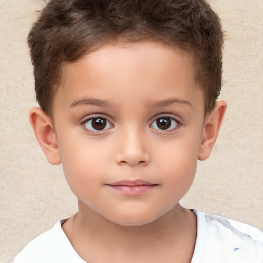 Neutral white child male with short  brown hair and brown eyes