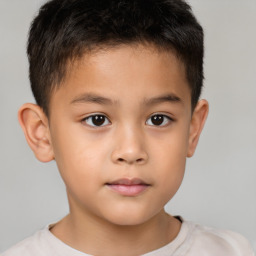 Neutral white child male with short  brown hair and brown eyes