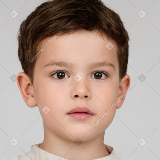 Neutral white child male with short  brown hair and brown eyes