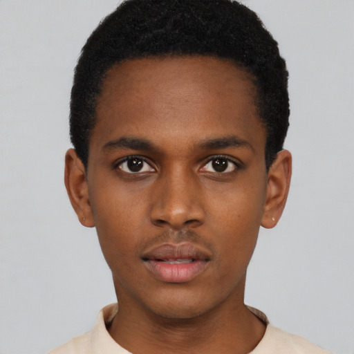 Neutral black young-adult male with short  black hair and brown eyes
