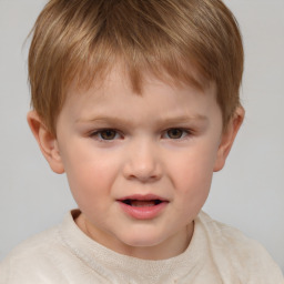 Joyful white child male with short  brown hair and brown eyes