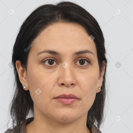 Joyful white adult female with medium  brown hair and brown eyes