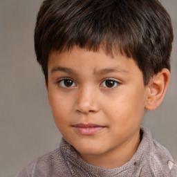 Neutral white child male with short  brown hair and brown eyes