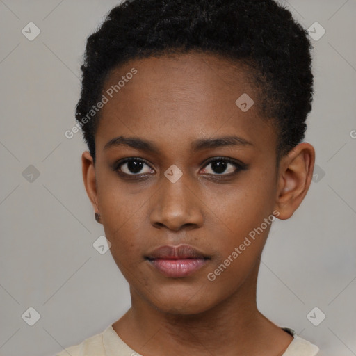 Neutral black young-adult female with short  brown hair and brown eyes