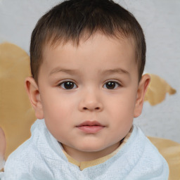 Neutral white child male with short  brown hair and brown eyes