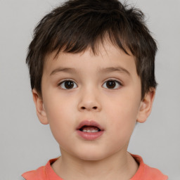 Neutral white child male with short  brown hair and brown eyes