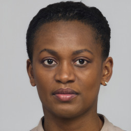 Neutral black young-adult female with short  brown hair and brown eyes