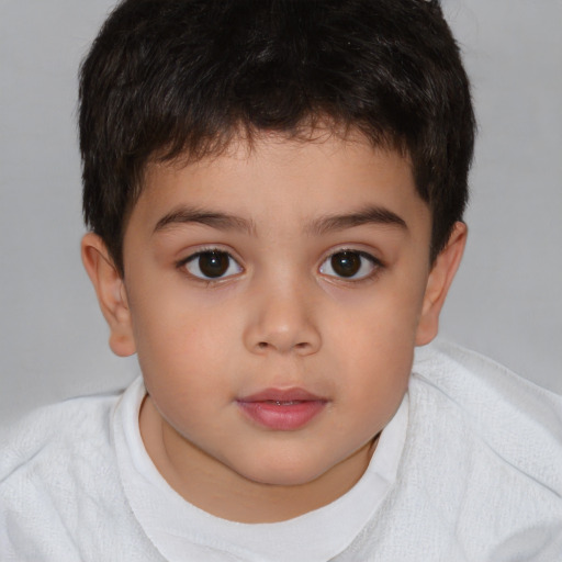 Neutral white child male with short  brown hair and brown eyes