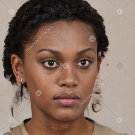 Neutral black young-adult female with short  brown hair and brown eyes