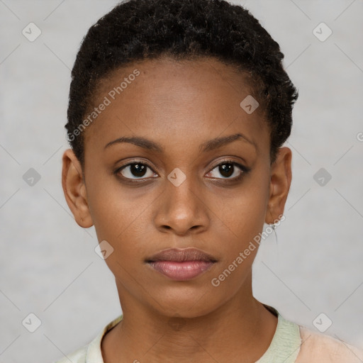 Neutral black young-adult female with short  brown hair and brown eyes