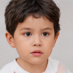 Neutral white child male with short  brown hair and brown eyes